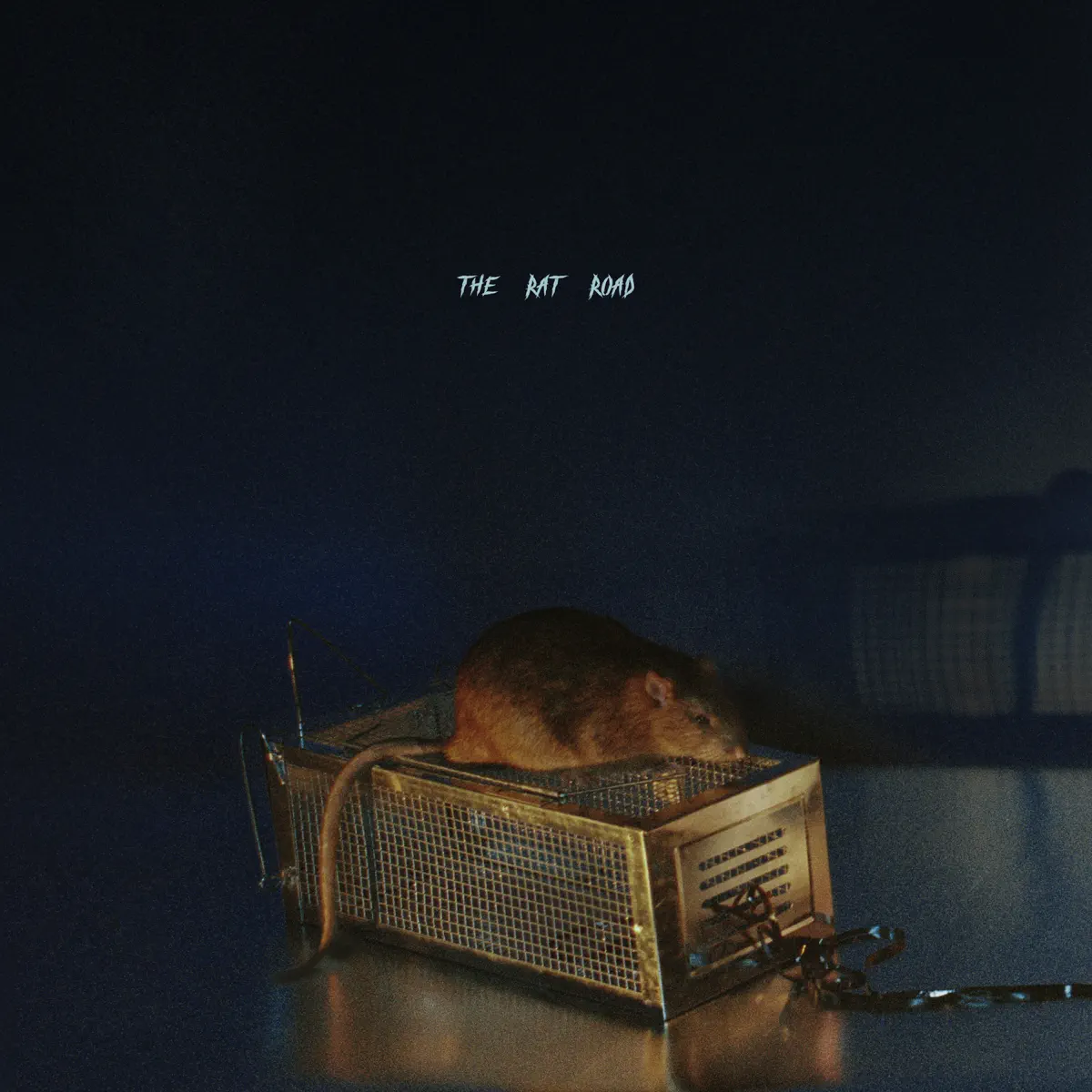 SBTRKT - THE RAT ROAD (2023) [iTunes Plus AAC M4A]-新房子