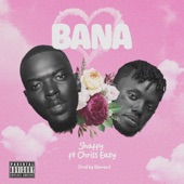 Bana (feat. Chriss Eazy) artwork