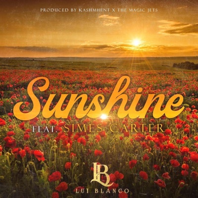 SUNSHINE (feat. Simes Carter) - Single