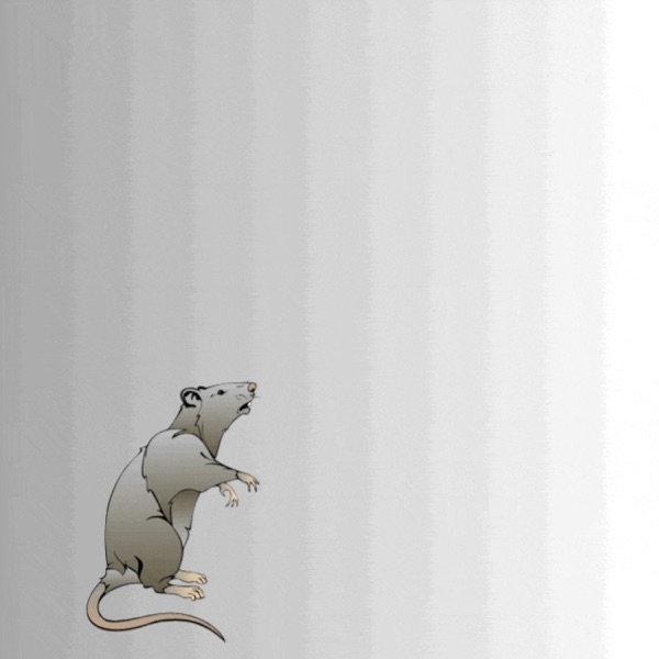 Ratman