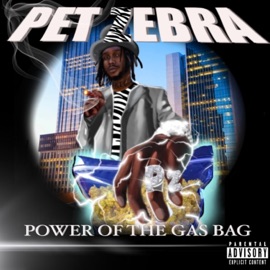 Lil Kid Pet Zebra & Bill$up