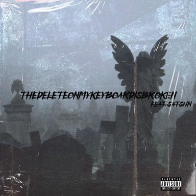 TheDeleteOnMyKeyboardIsBroken (feat. Satsun) - Single