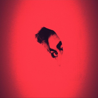 Somebody Should Have