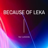 Nyt Lumenda - Because of Leka