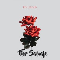Flor Salvaje - Single - Rey Jama