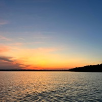 Vicarious (feat. MERLIN) - Single - Andyヾ￣ー￣ノ