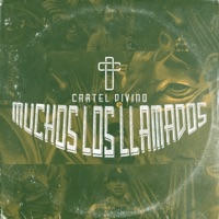 Muchos Los Llamados - Single - Cartel Divino