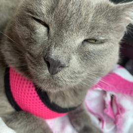 HeartBreak (feat. Felix & Cyrex) -San-