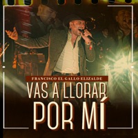 Vas a Llorar por Mí - Single - Francisco el Gallo Elizalde