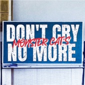 Don't Cry No More artwork