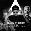 MR.BLACK, Svenson & Gielen & Johan Gielen - Beauty of Silence