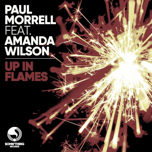 Up in Flames (Dolly Rockers Remixes) [feat. Amanda Wilson] - EP