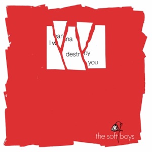 I Wanna Destroy You - Single