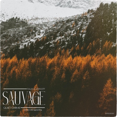 Sauvage (feat. JayDottCee & chrme.shwty) [Quiet Chrme Remix] - Single