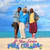 If You Like Pina Coladas (feat. Rayvon) artwork