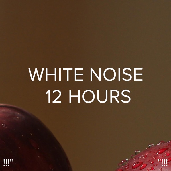 !!!" White Noise 12 Hours "!!!