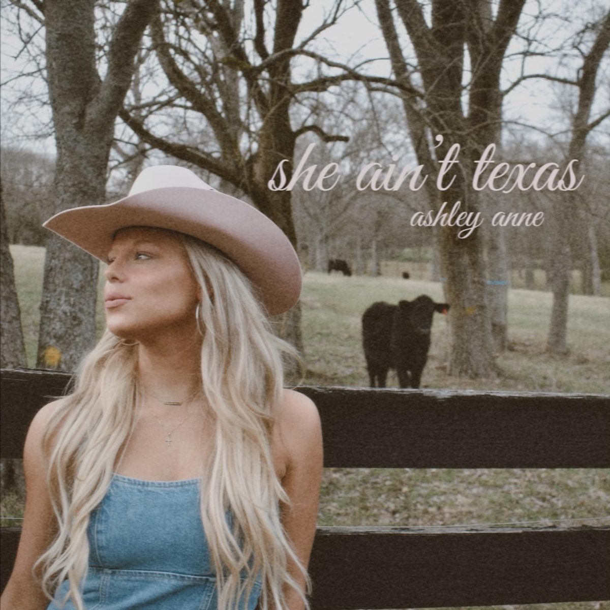 ‎she Ain T Texas Single Album By Ashley Anne Apple Music