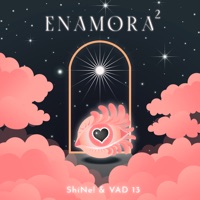 Enamora2 - Single - VAD 13 & Shine