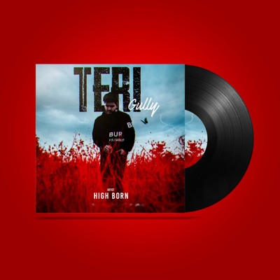 Teri Gully - Single