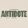 Guy Sebastian - Antidote (feat. Sam Fischer) artwork