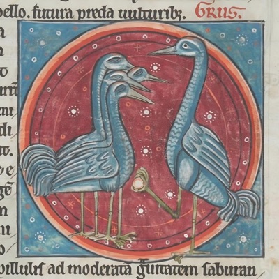 Snowing in the Spring (feat. tartan) - Single