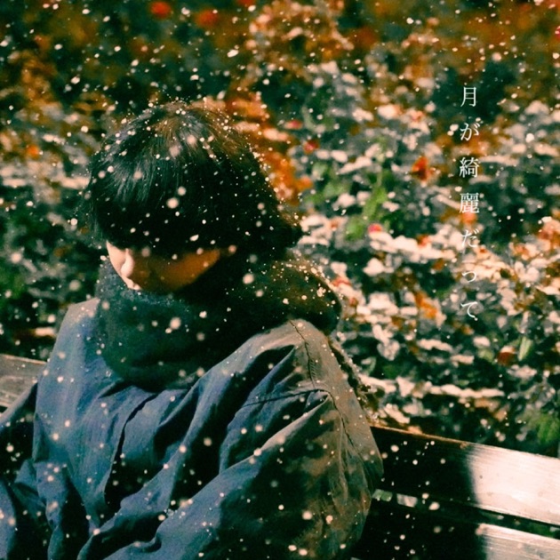 夢の中で、夢から醒めて - berry meetのアルバム - Apple Music