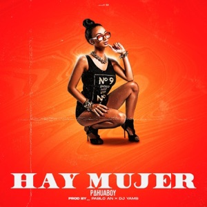 HAY MUJER (feat. Pahuaboy & Pablo An) - Single