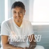 PERCHE` TU SEI