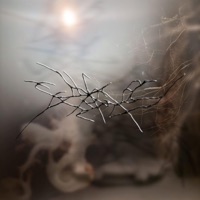 Feel - Single - plegism