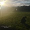 All In - Caysen Lee lyrics