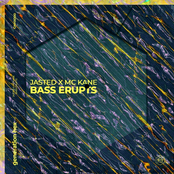Bass Erupts - Single