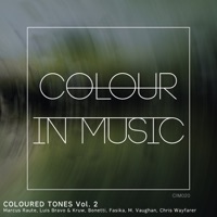 Coloured Tones, Vol. 2 - Luis Bravo, Bonetti & Chris Wayfarer