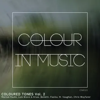 Coloured Tones, Vol. 2 by Luis Bravo, Bonetti & Chris Wayfarer album reviews, ratings, credits