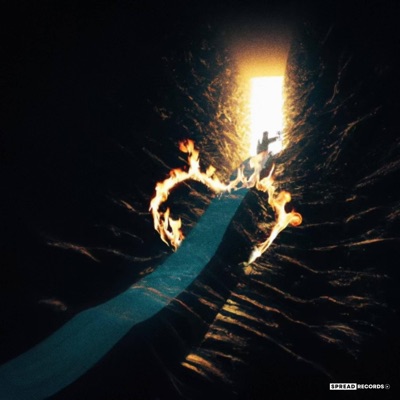 WAY TOO MUCH (feat. Marc Vinyls) - Single