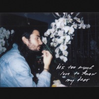 it's too much love to know my dear - EP - Stephen