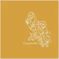 Camomile