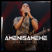 Amenisamehe (Live) artwork