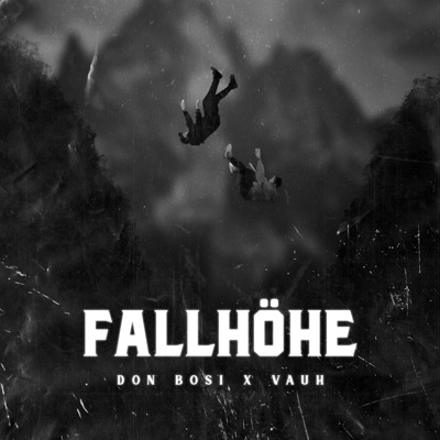 Fallhöhe - Single