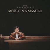 Mercy In A Manger artwork