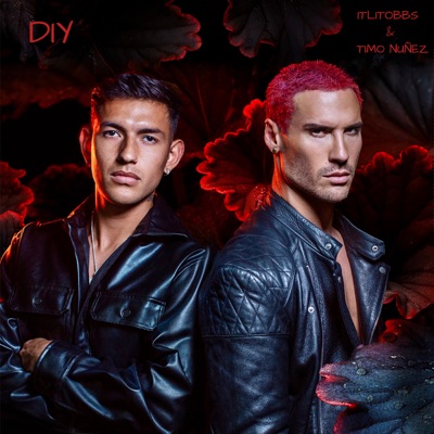 Diy - Single