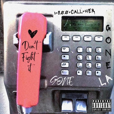 Don't Fight It - Single