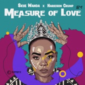 Measure of Love (Radio Edit) artwork