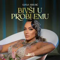 Bivsi u problemu — Goga Sekulic