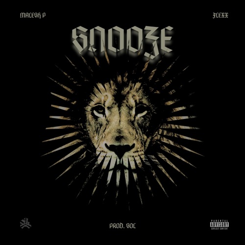 Snooze - Single
