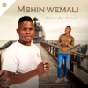 Ngicel Uhambe (feat. Zothando) - MSHINWEMALI