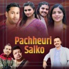 Pachheuri Salko - Single