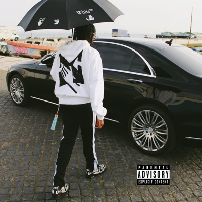 Miami Freestyle - Single