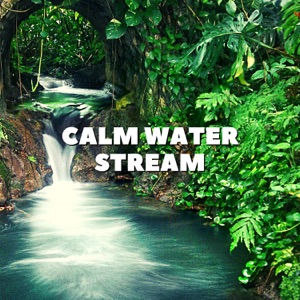 Calm Water Stream - EP
