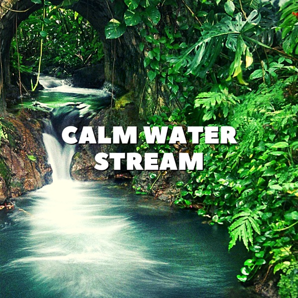 Calm Water Stream - EP