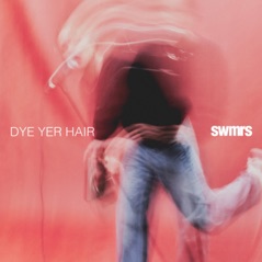 Dye Yer Hair (Alternative Version) - Single